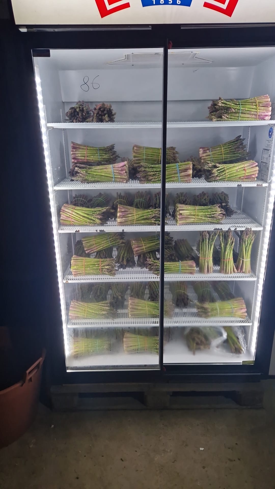 Sparanghel verde 10